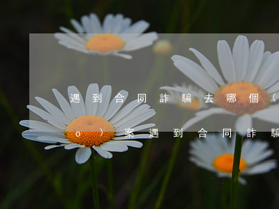 遇到合同詐騙去哪個(gè)部門報(bào)案(遇到合同詐騙去哪個(gè)部門報(bào)案)
