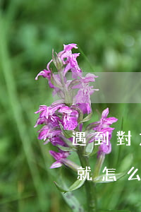 遇到對方不肯離婚將就過怎么辦(婚姻不想將就怎么辦)