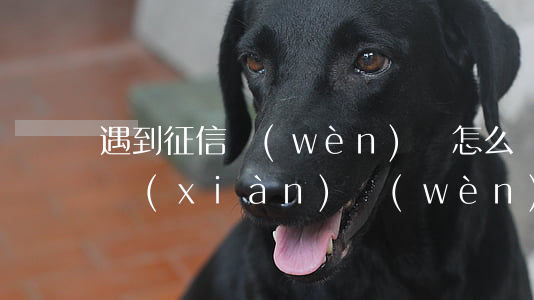 遇到征信問(wèn)題怎么辦(如果征信出現(xiàn)問(wèn)題怎么補(bǔ)救)