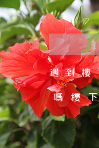 遇到樓下用震樓器報(bào)警起訴有用嗎(樓下用震樓器可以報(bào)警嗎怎么取證)