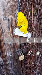 遇到精神病信用卡逾期呆賬怎么辦-精神病患者信用卡逾期怎么辦