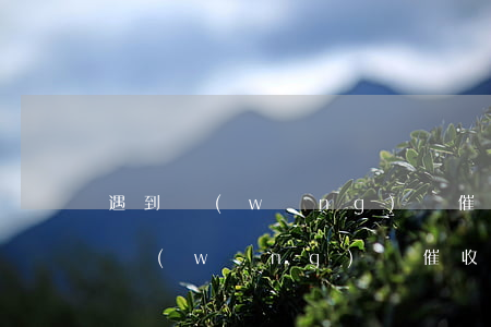 遇到網(wǎng)貸催收上門怎么辦(遇到網(wǎng)貸催收上門怎么辦)