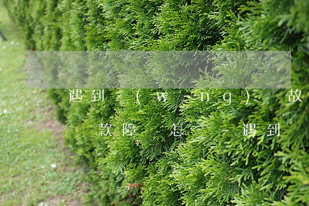 遇到網(wǎng)貸故意設(shè)置還款障礙怎辦-遇到網(wǎng)貸故意設(shè)置還款障礙怎辦呢