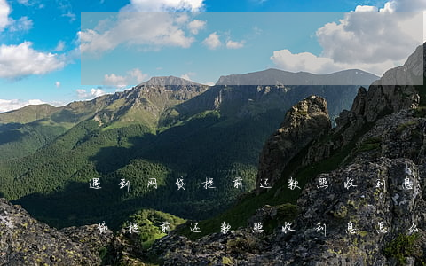 遇到网贷提前还款照收利息怎么办-遇到网贷提前还款照收利息怎么办呢