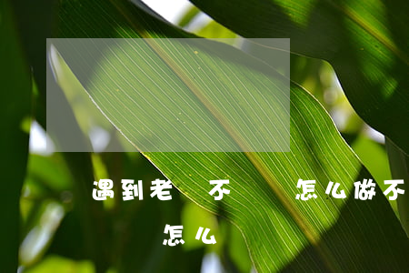 遇到老賴不還錢怎么做不違法(老賴就是不還錢該怎么辦?)