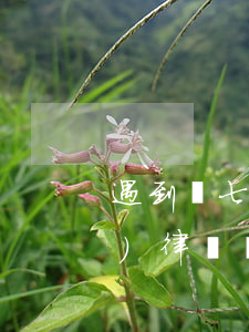遇到這七種情況，可以要求對方承擔(dān)律師費(fèi)！