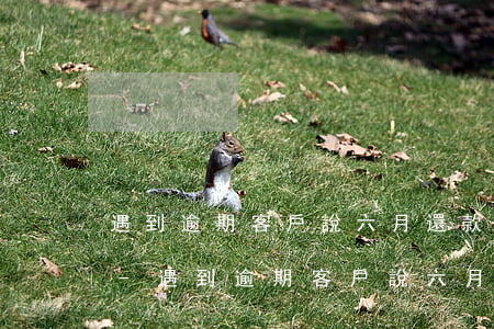遇到逾期客戶說六月還款怎么回復(fù)-遇到逾期客戶說六月還款怎么回復(fù)他
