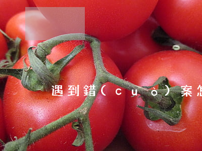 遇到錯(cuò)案怎么處理