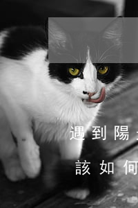 遇到陽光信貸起訴怎么解決(陽光信貸還不了該如何談判)