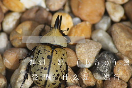 遇到騙婚報(bào)警警察會(huì)受理嗎(什么是騙婚行為?可以報(bào)警嗎?)