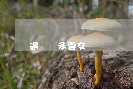 遇囑繼承要交稅嗎