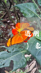 遇朋友出軌，偷拍發(fā)朋友對(duì)象違法嗎？