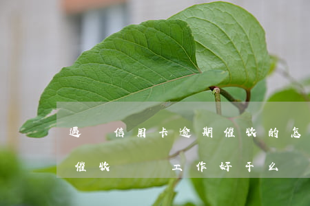 遇見信用卡逾期催收的怎么辦(對信用卡逾期催收這種工作好干么)