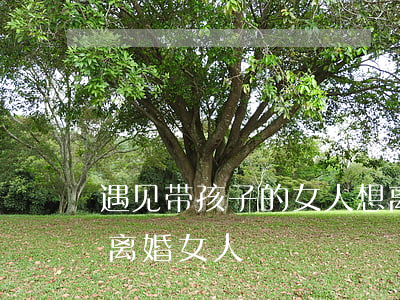 遇见带孩子的女人想离婚(爱上一个带孩子的离婚女人)
