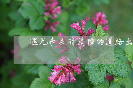 遇见未及时清障的道路，出事故谁赔？