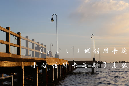 運(yùn)城信用卡逾期還不起怎么辦(不小心信用卡逾期了怎么辦)
