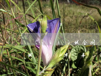 運(yùn)城合同詐騙律師(運(yùn)城眾志誠律師事務(wù)所)