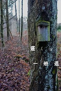 運(yùn)費(fèi)險(xiǎn)一般退多少錢(qián)