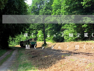 運(yùn)輸企業(yè)車輛逾期未審驗(yàn)(營(yíng)運(yùn)車逾期未年審)