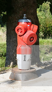 運(yùn)輸合同