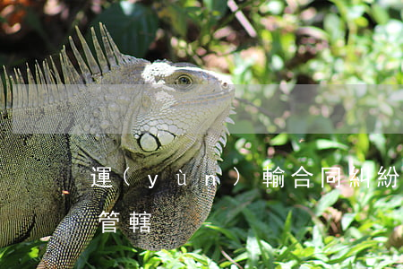 運(yùn)輸合同糾紛哪個(gè)法院管轄