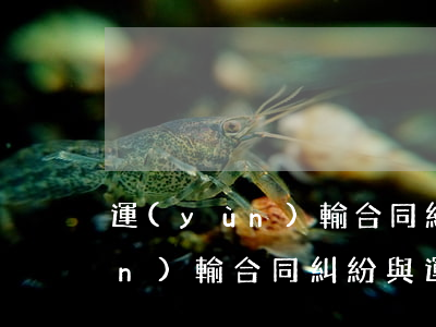 運(yùn)輸合同糾紛怎么起訴(運(yùn)輸合同糾紛與運(yùn)輸侵權(quán)糾紛)