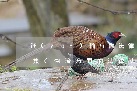 運(yùn)輸方面法律法規(guī)收集(物流方面的法律法規(guī)有哪些)