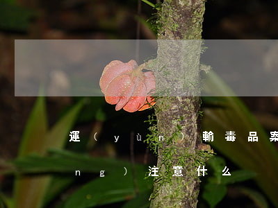 運(yùn)輸毒品案件適用死刑應(yīng)注意什么