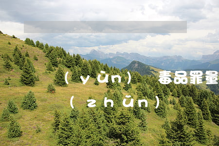 運(yùn)輸毒品罪量刑標(biāo)準(zhǔn)