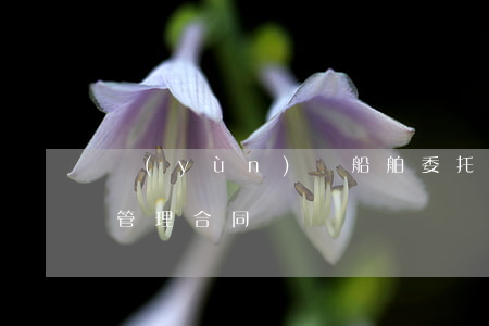 運(yùn)輸船舶委托經(jīng)營管理合同
