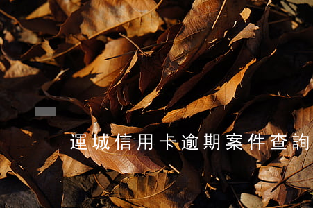 運城信用卡逾期案件查詢