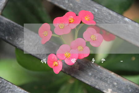 運城債務律師多少錢-運城債務律師多少錢