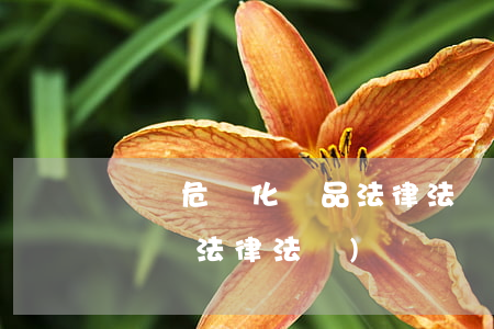 運輸危險化學品法律法規(關于危險品道路運輸法律法規)
