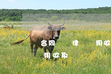 運輸合同糾紛律師費用收取標準(交通案件律師費用收取標準)