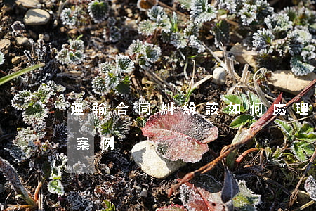 運輸合同糾紛該如何處理(運輸合同運費糾紛案例)