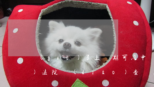 過(guò)了上訴期可以申請(qǐng)法院調(diào)查嗎(上訴期限過(guò)了之后想上訴怎么辦)