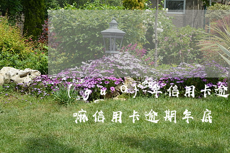 過(guò)年信用卡逾期會(huì)上門嘛(信用卡逾期年底會(huì)上門嗎)