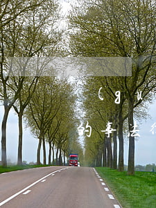 過(guò)年期間不得不說(shuō)的事，法律牢記心間