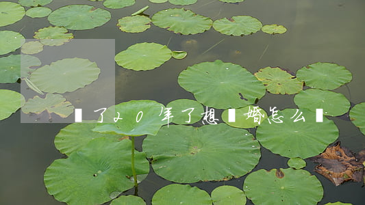 過了20年了想離婚怎么辦