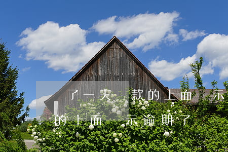 過了一天還款的上面顯示逾期(過了一天還款的上面顯示逾期了)
