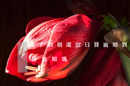 過了到期還款日算逾期(到期還款日當天還款算逾期嗎)