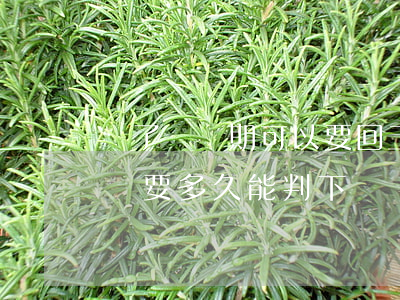 過了訴訟期可以要回工資嗎(要工資到法院起訴要多久能判下來)