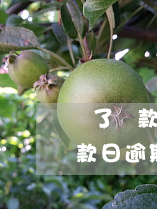 過了還款日逾期2天會影響征信嗎-過了還款日逾期2天會影響征信嗎怎么辦