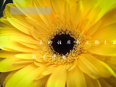 過去的信用卡逾期怎么處理(銀行卡信用卡逾期有什么辦)