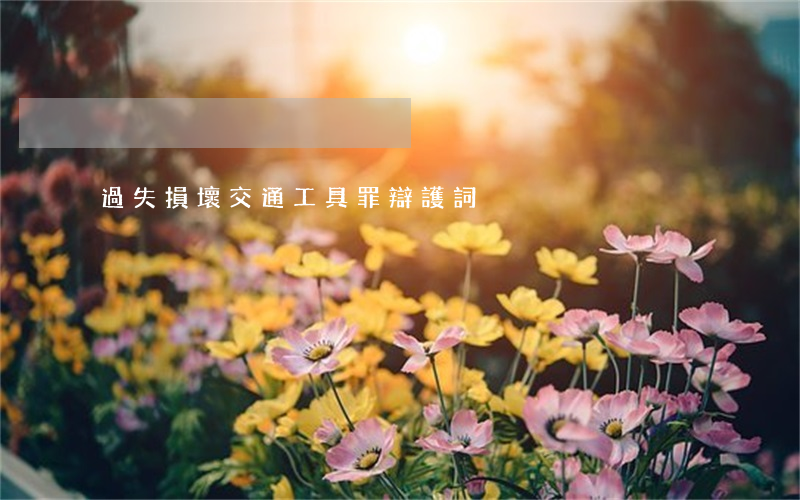 過失損壞交通工具罪辯護詞