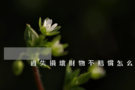 過失損壞財物不賠償怎么辦