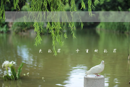 過失犯罪屬于重新犯罪嗎