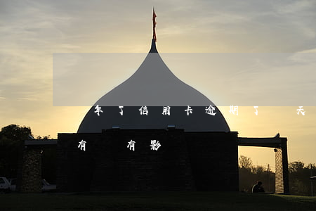 過年了信用卡逾期了幾天(信用卡逾期好幾天有沒有影響)