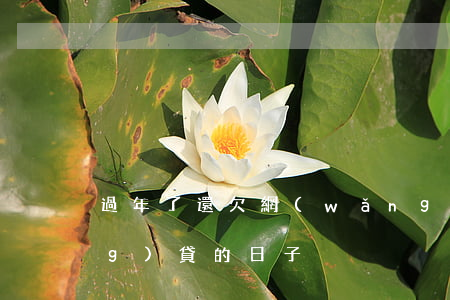 過年了還欠網(wǎng)貸(欠網(wǎng)貸的日子)