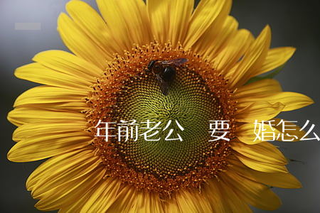 過年前老公說要離婚怎么回答
